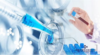 干細胞抗衰老的原理與人體干細胞技術(shù)的發(fā)展前景