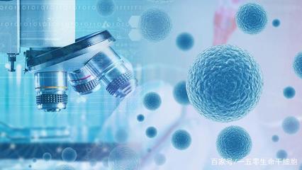 完善干細胞治療臨床技術(shù)指導(dǎo)，推動人體干細胞技術(shù)開發(fā)與應(yīng)用