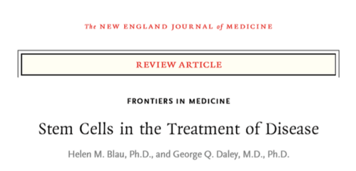 干細胞 生命科學的“萬能鑰匙”在癌癥、糖尿病與組織修復中的革命性突破
